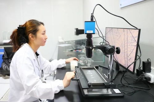 最美生產(chǎn)線 走進(jìn)中紡聯(lián)檢上海，探索檢驗(yàn)技術(shù)服務(wù)的卓越之旅